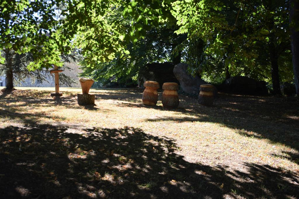 Domaine De La Rocque Bed and Breakfast Liorac-sur-Louyre Zewnętrze zdjęcie